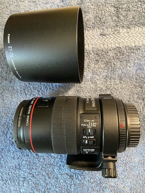 EF 100 Macro (2).jpg