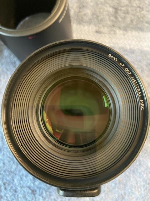 EF 100 Macro (4).jpg