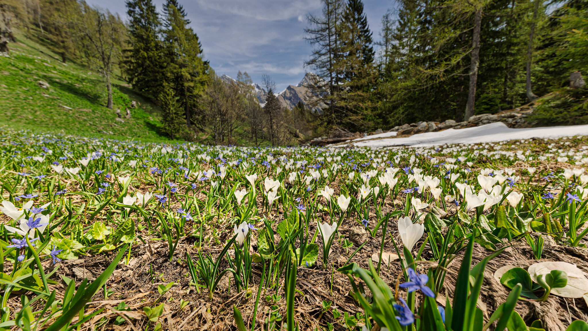 FB_MG_2700-Edit-post.jpg