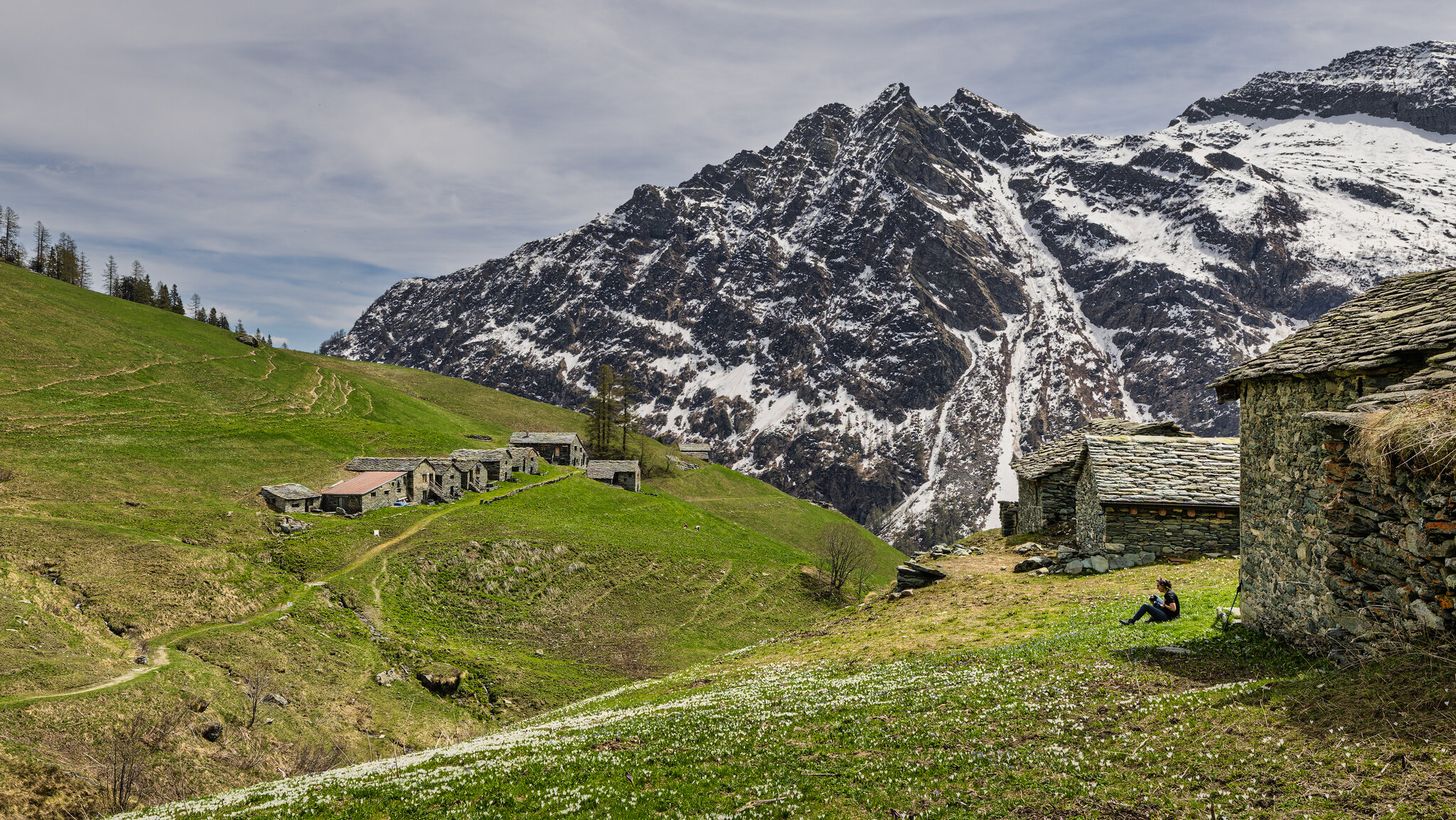 FB_MG_2719-Edit-post.jpg