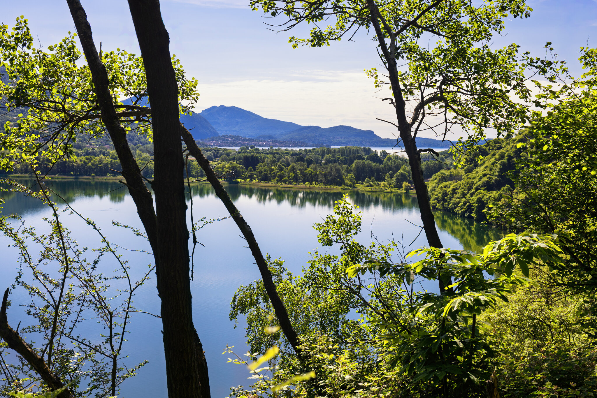 FB_MG_2918-Edit-post.jpg