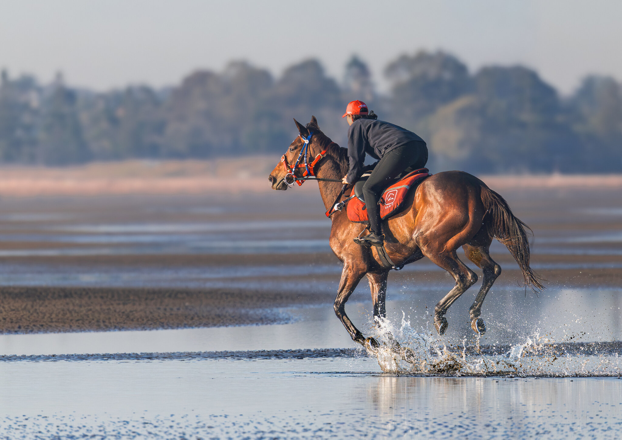 Horse Training on Brighton Beach