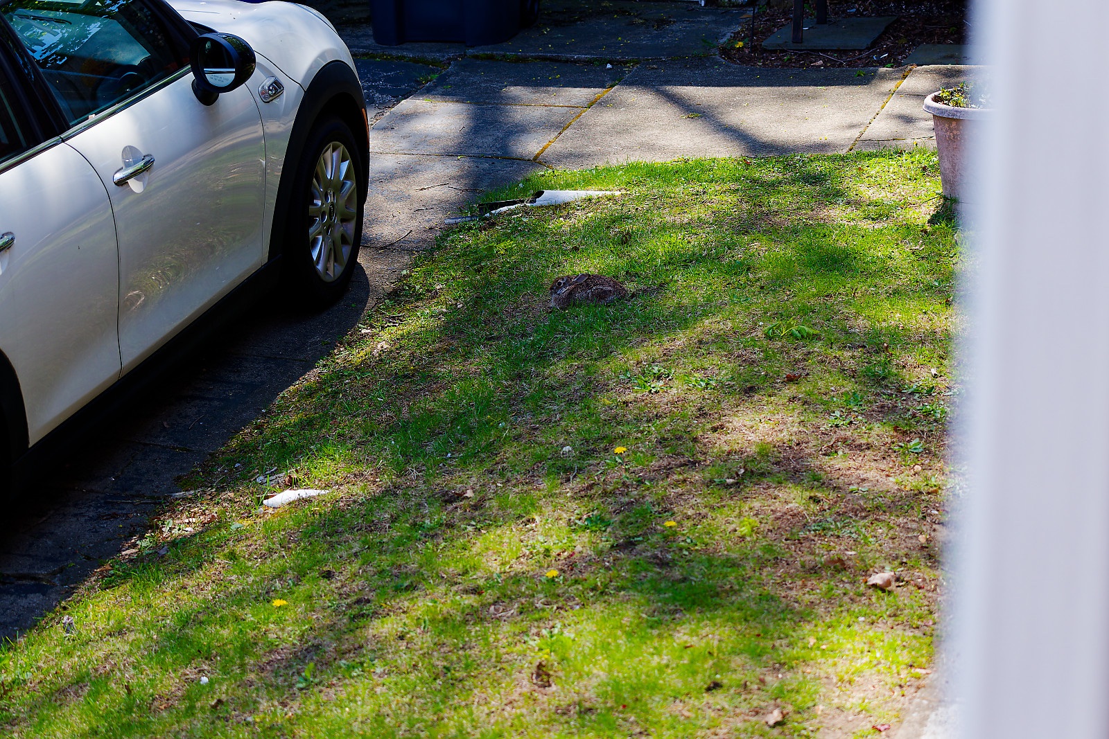 IMG_1550_DxO.jpg