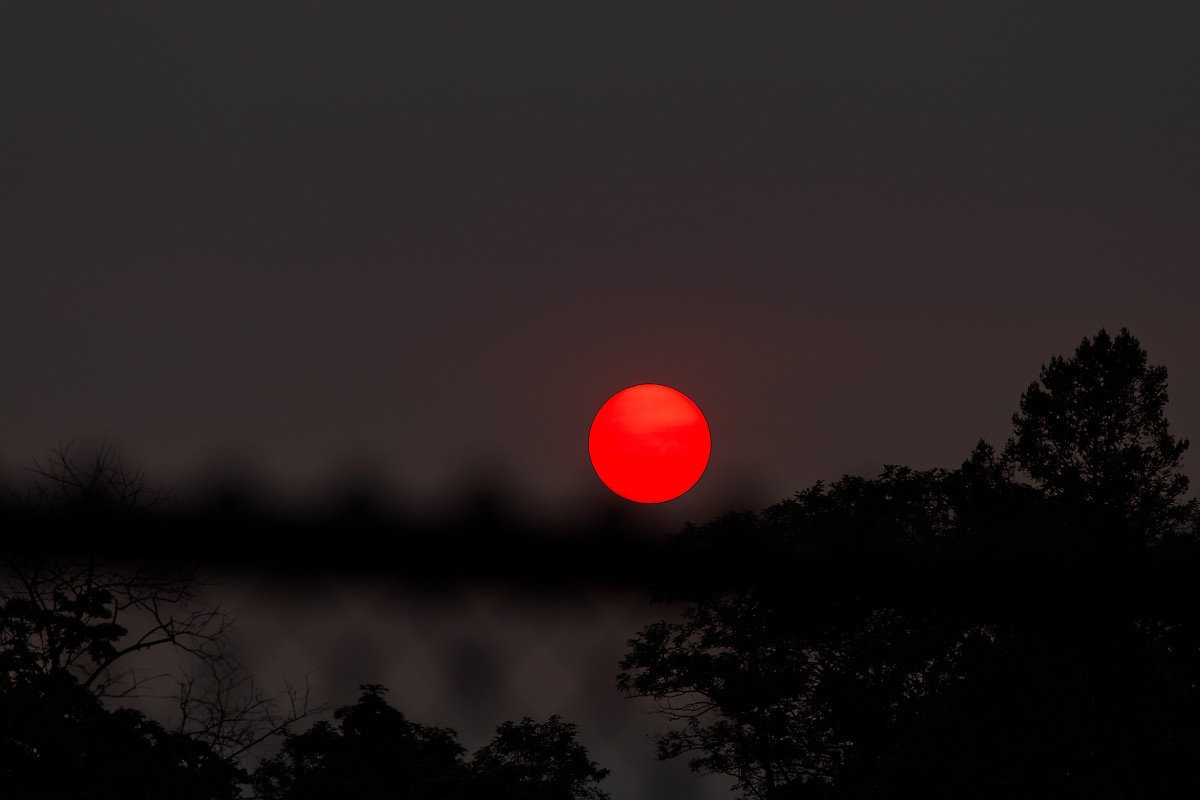 IMG_1687_DxO.jpg