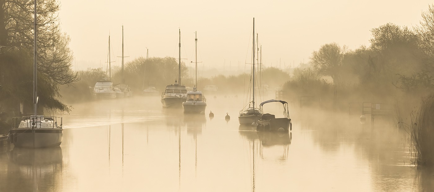 Misty Wareham.jpg