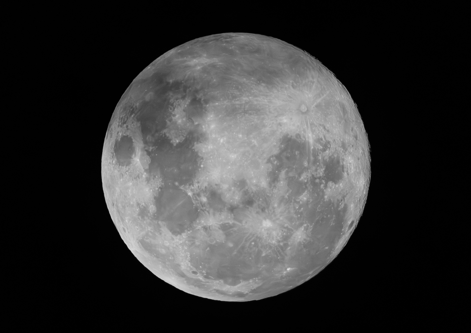 Moon 2026-02-01.jpg