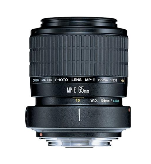 Canon MP-E 65mm F2.8 1-5x EFマウント ｜D295 Amazon.com : Canon MP