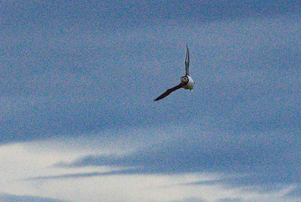 Original ISO25600-2.jpg