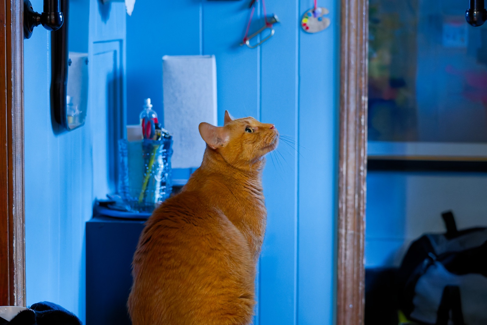 Pondering next steps.jpg