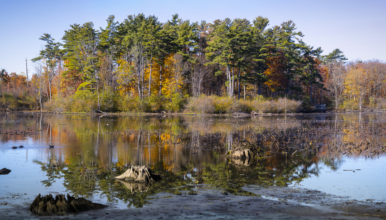 R7_F3978 Pano set_stitch.jpg