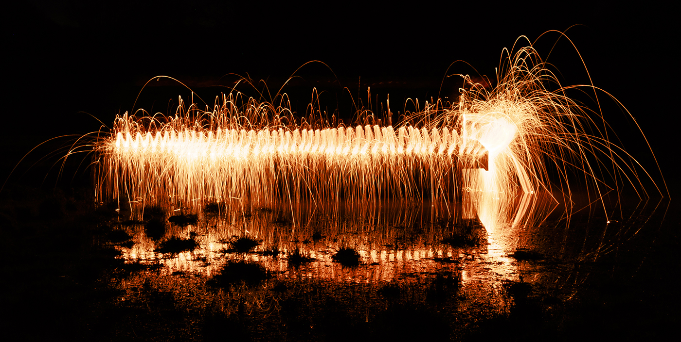 RF Millipede on the Mire.jpg