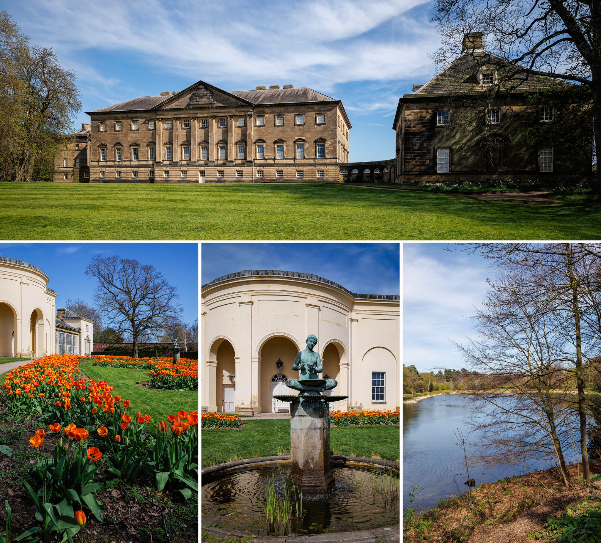 RF-S-N6.jpg