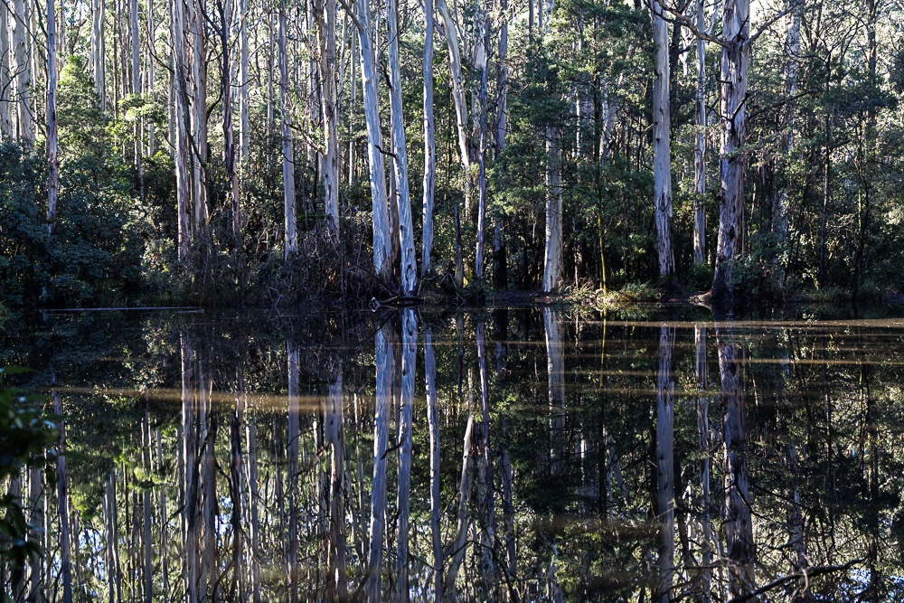 Sanatorium Lake-1.jpg