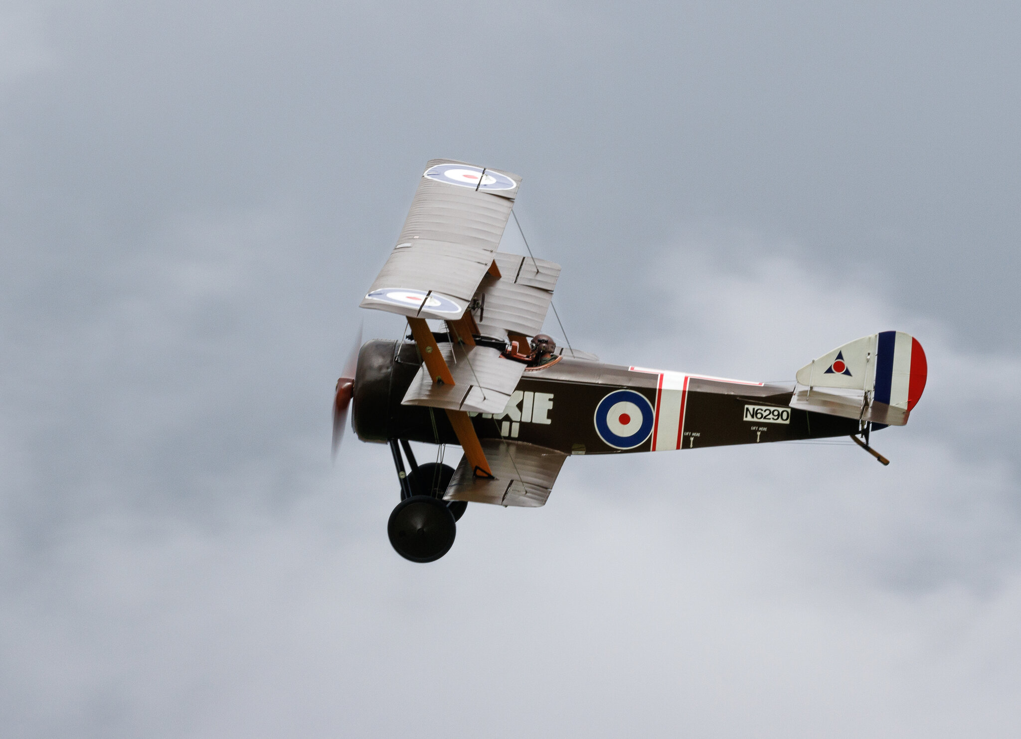 Shuttleworth-6700.jpg