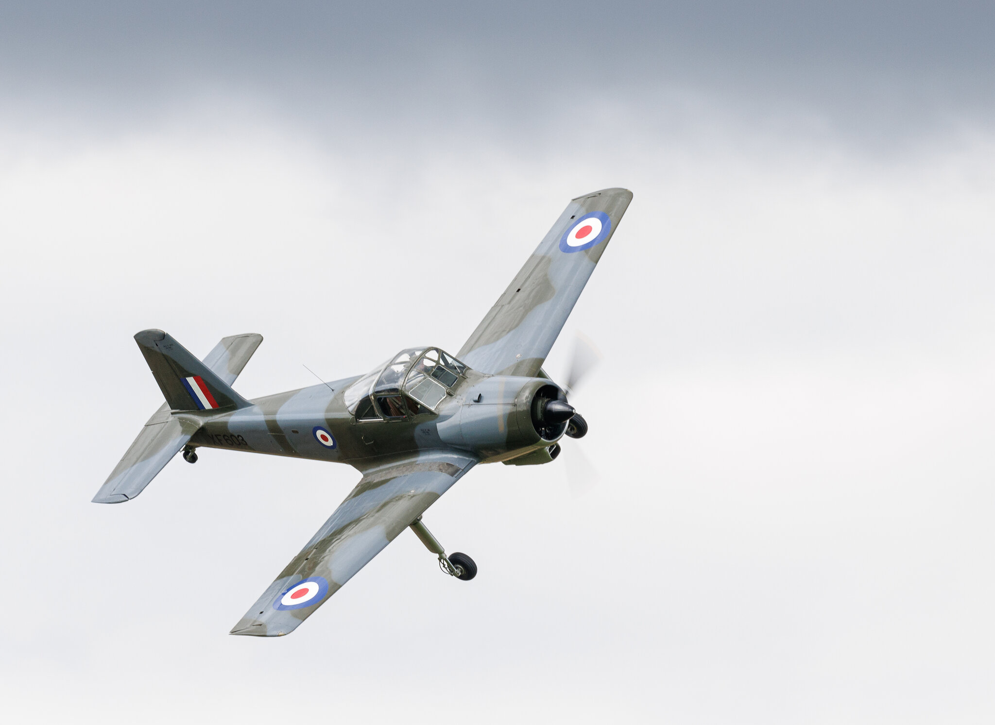 Shuttleworth-6818.jpg