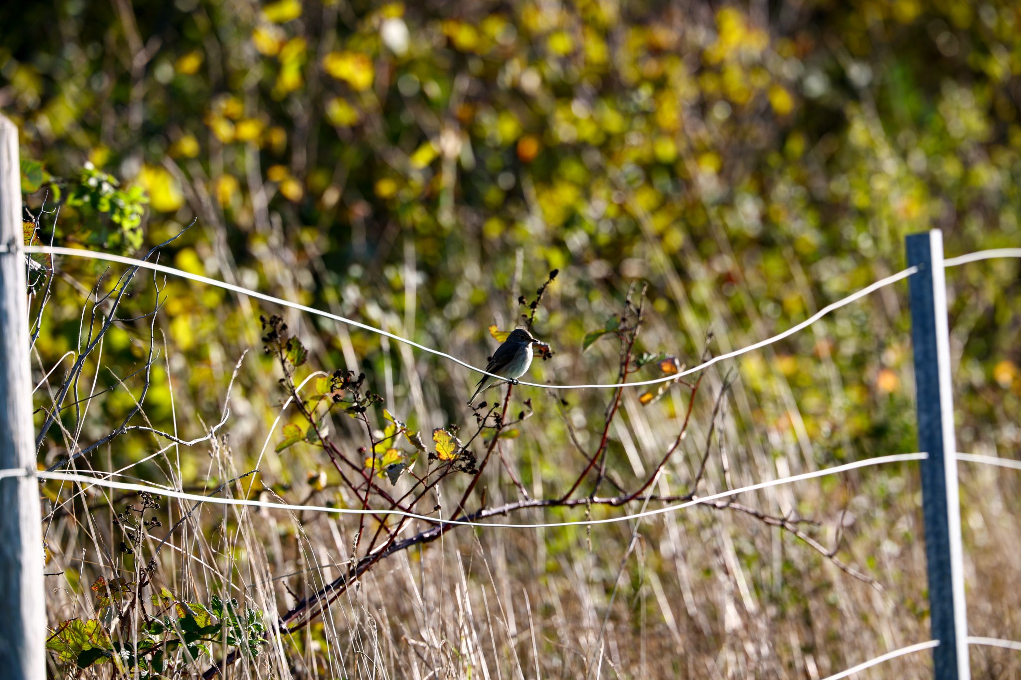 T 21-09-2025 0017.JPG