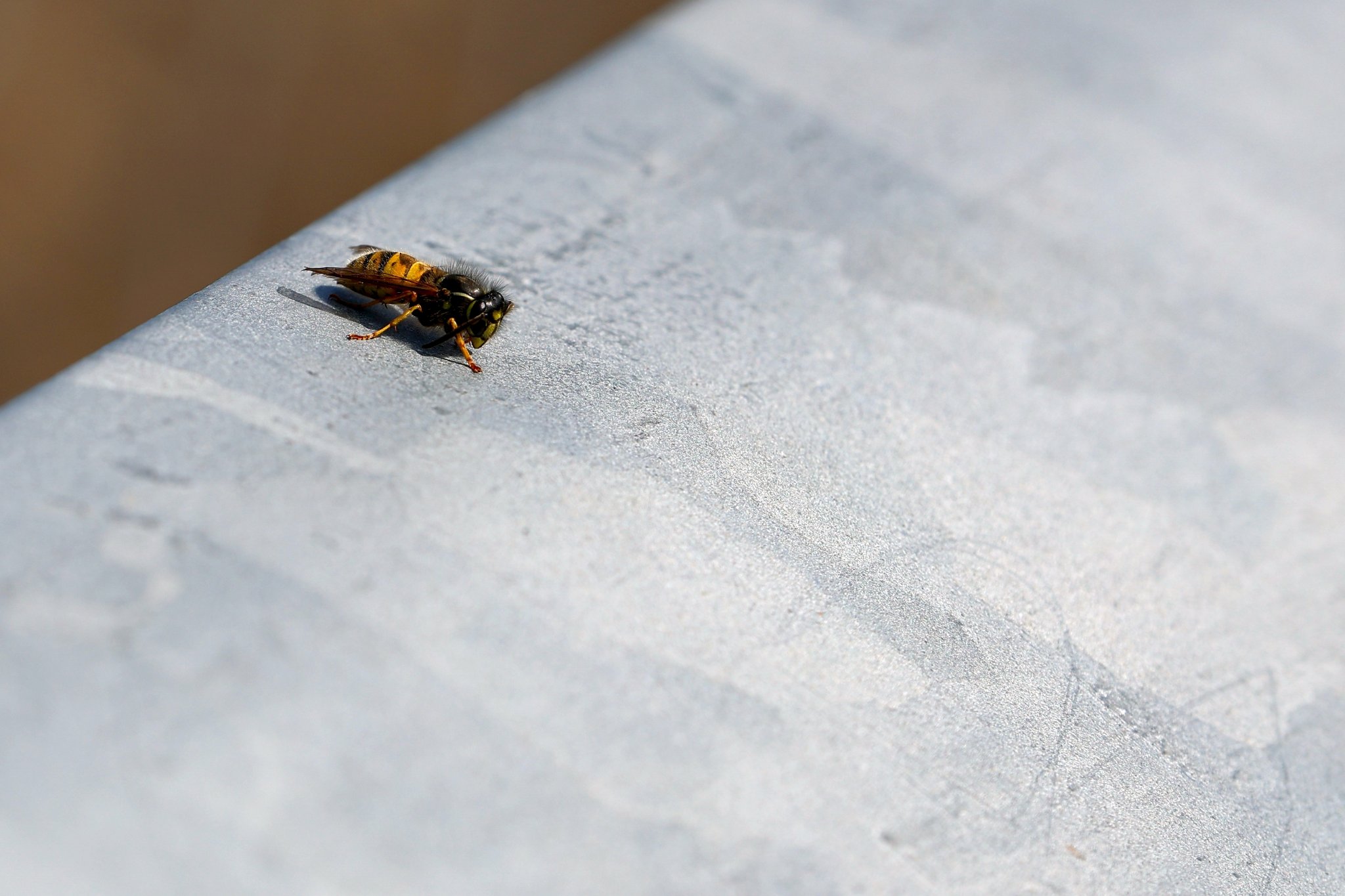 T 21-09-2025 0342.JPG