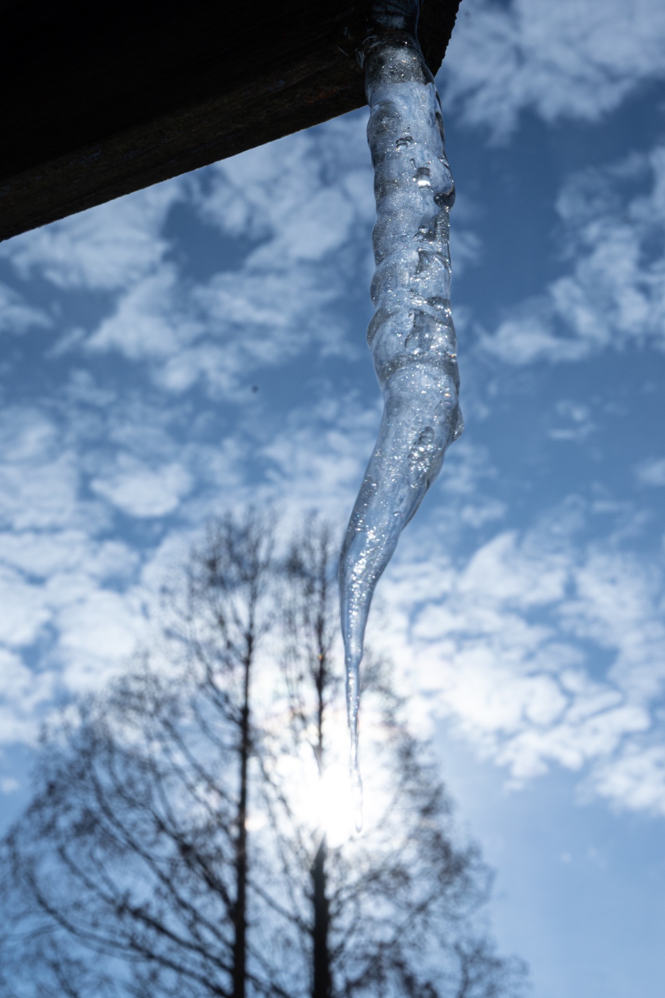 The last of its kind.JPG