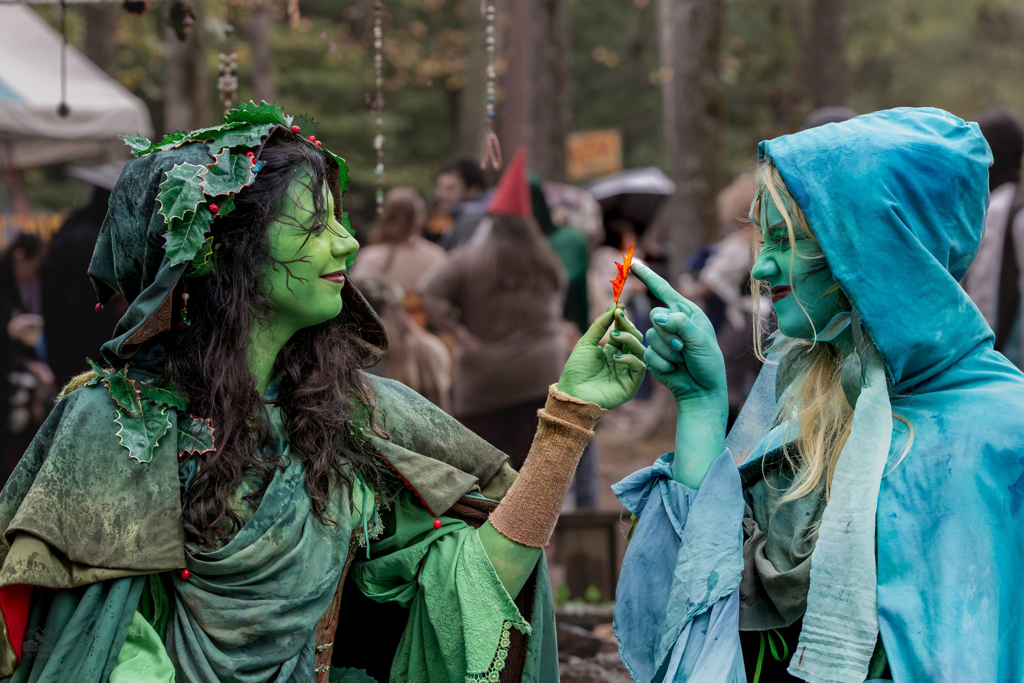 The Nymph Grove-NC-Renne-4.jpg