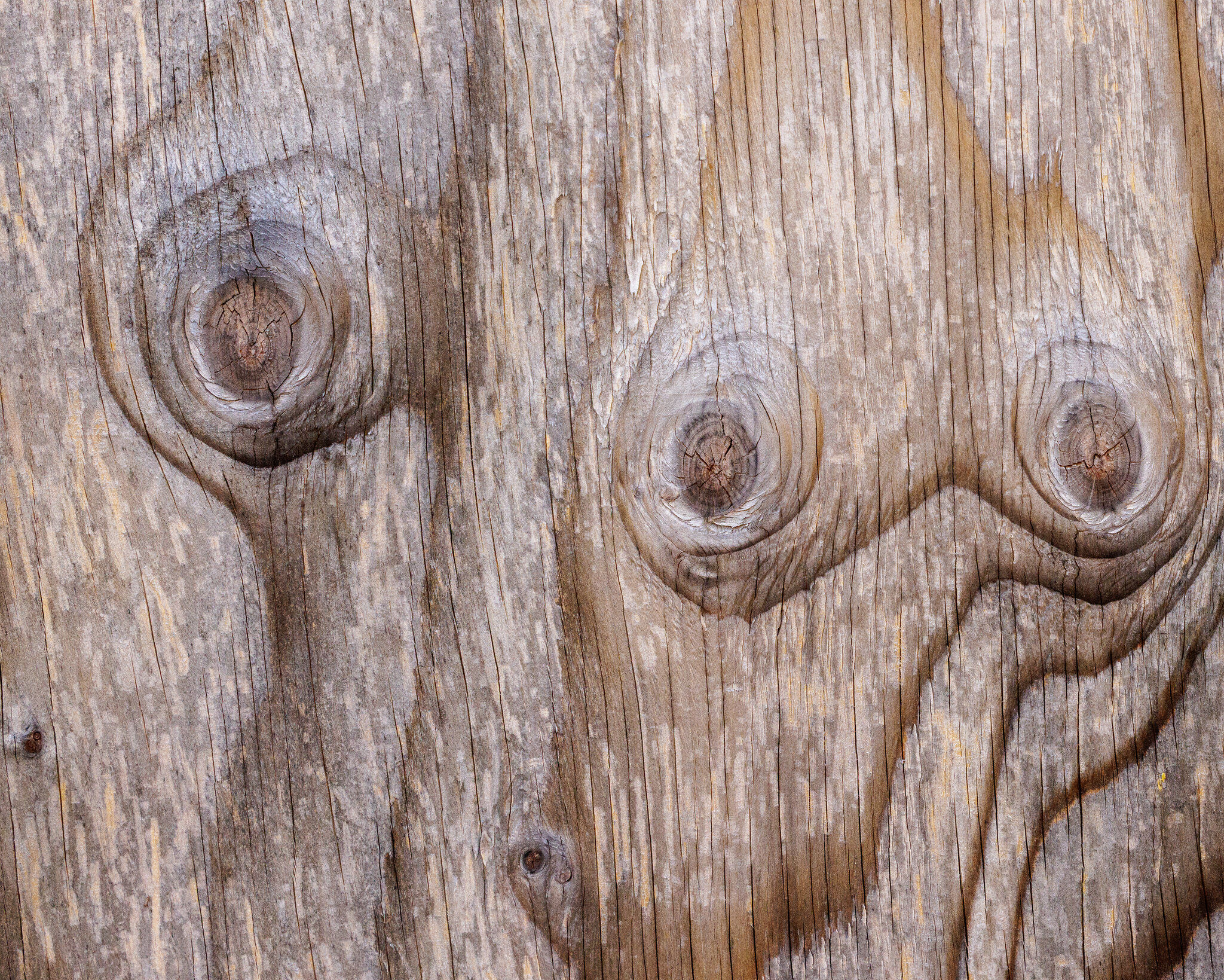 Total Recall-in wood.jpg