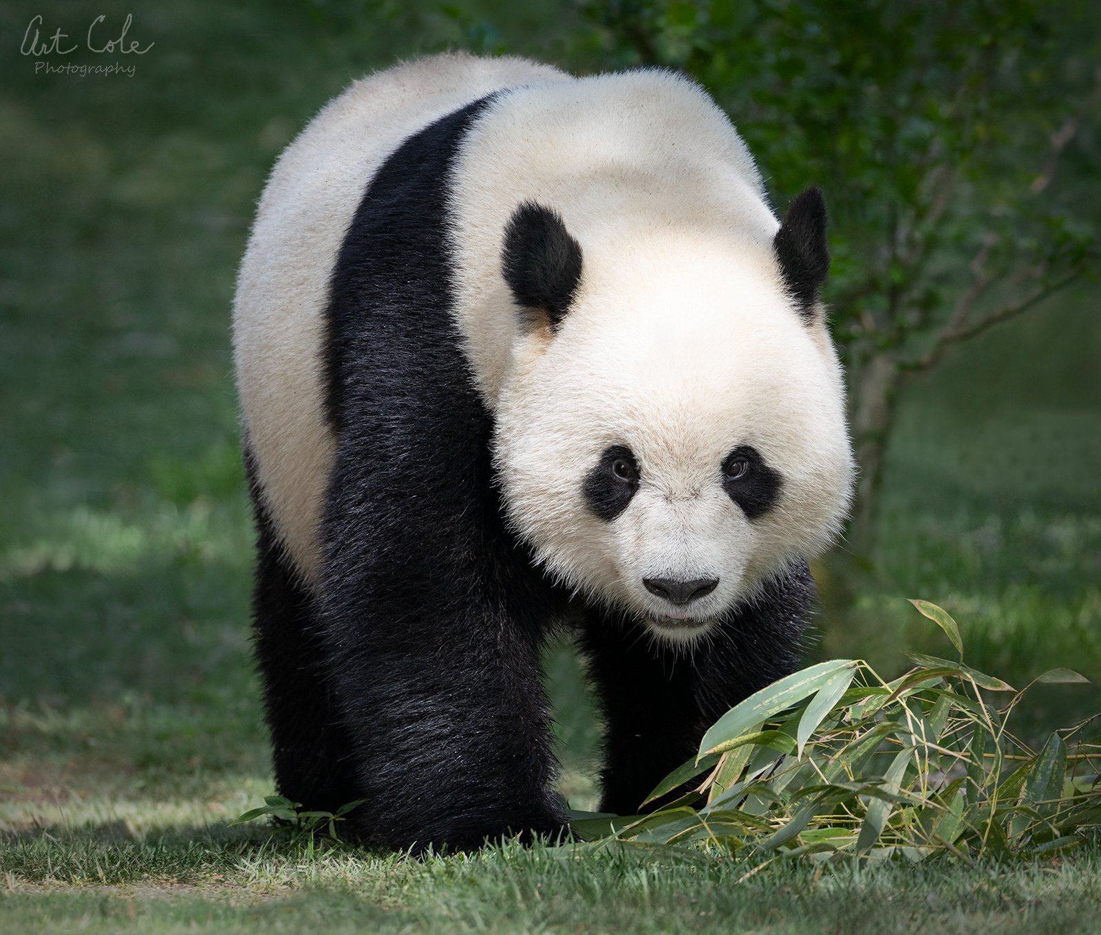 Visualizing the PathvinSMsig.jpg