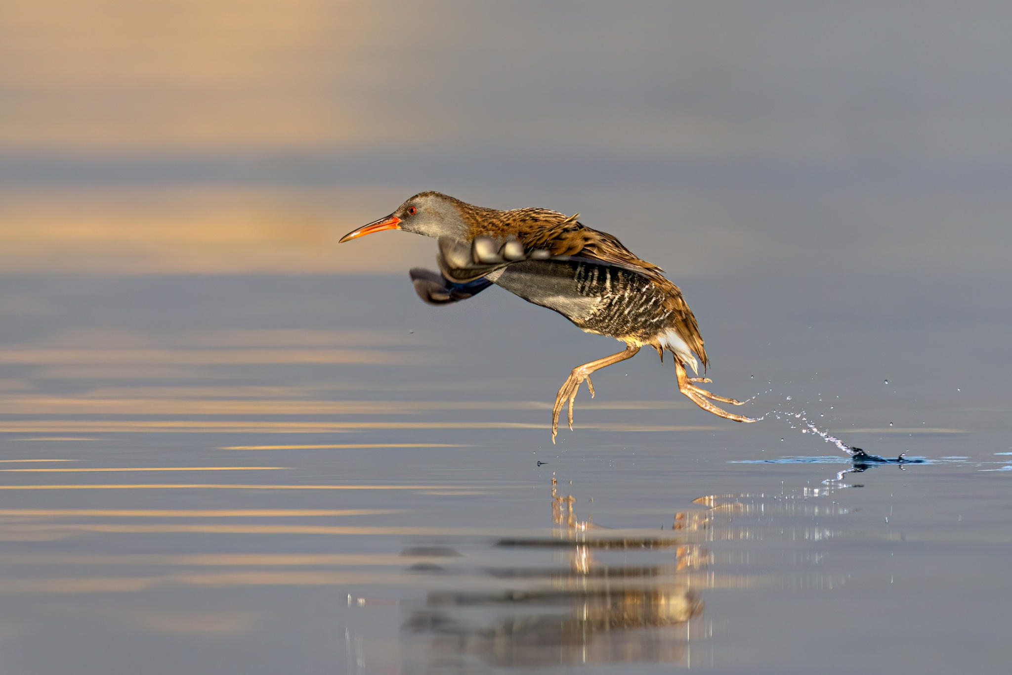 water -46.jpg