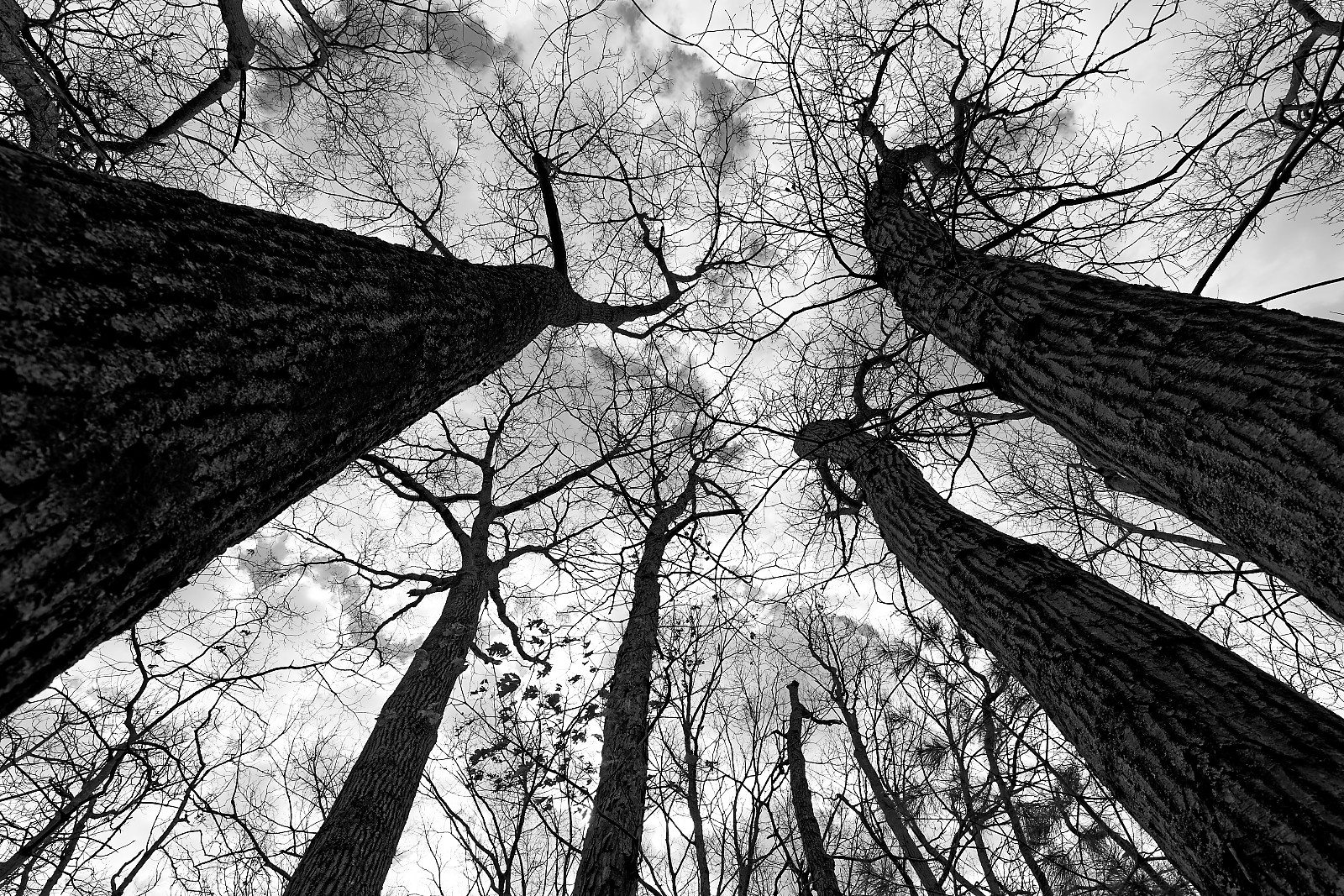 Wildlife refuge_Greenville.jpg