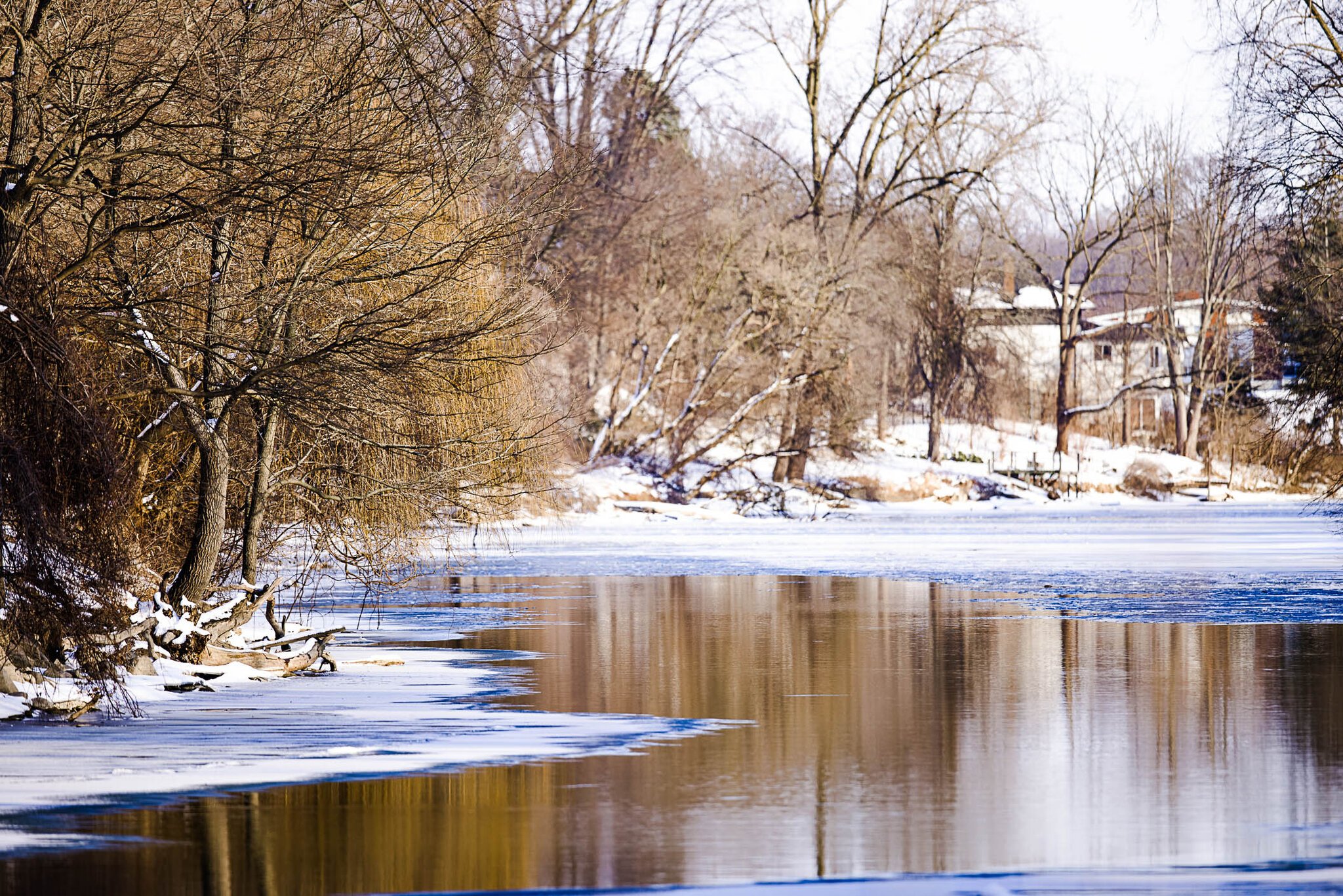 winter landscape 1 (1 of 1).jpg