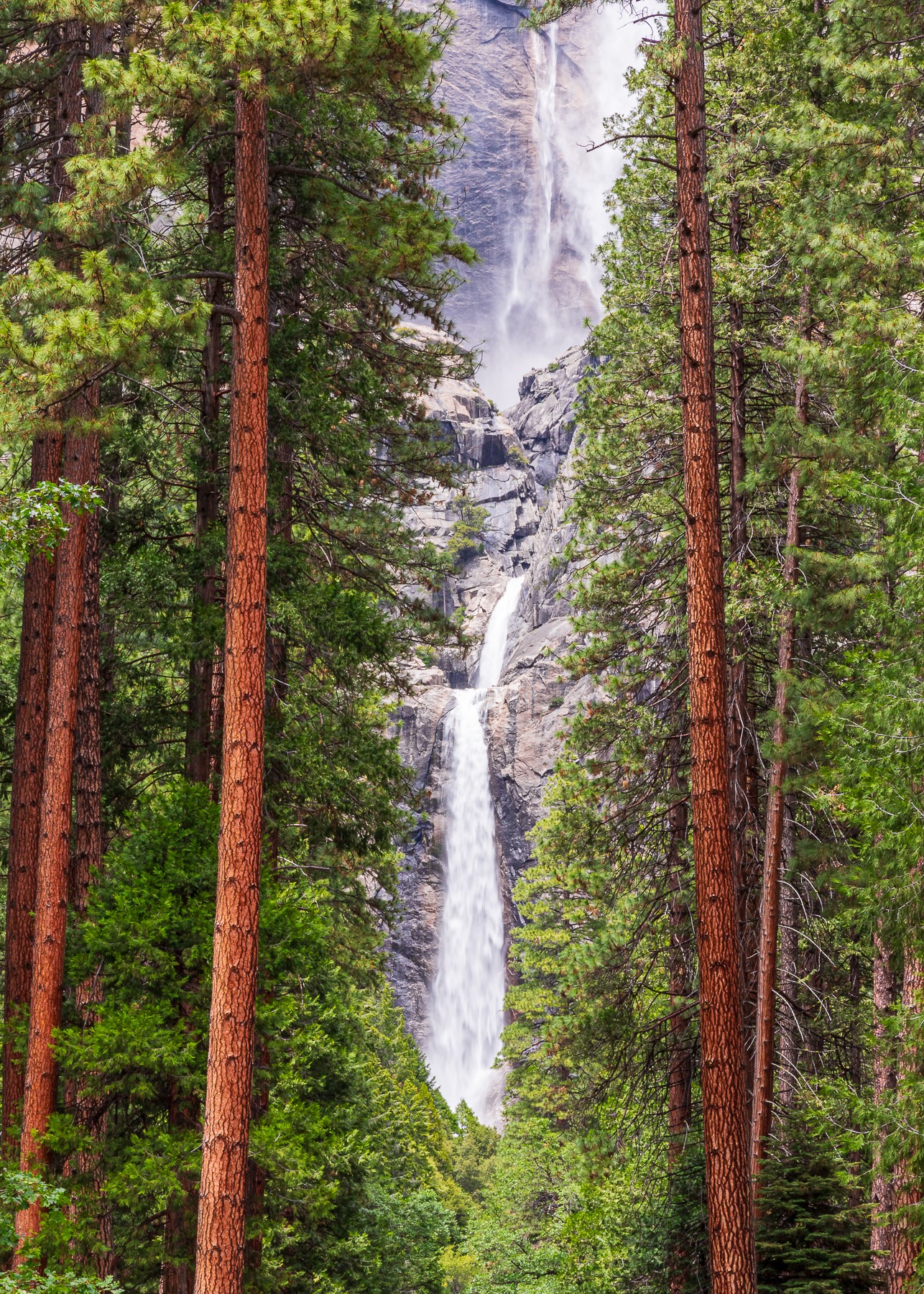 Yosemite-2015-2756.jpg