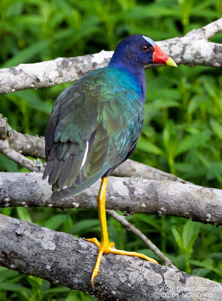 2026-021-093 KWPC Brazos Bend SP.jpg