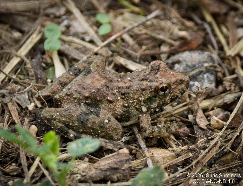 2026-021-118 KWPC Brazos Bend SP.jpg