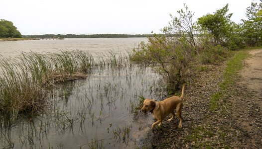 2023-017-002 Purtis Creek SP.jpg