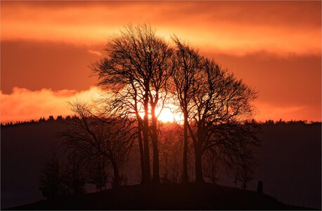 Wittenham Clumps-524989 WP-DNZ-clear.Crop WP.jpg