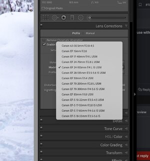 Lens profiles with TIFF file and Canon selected.jpg