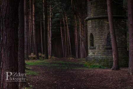 Harrogate Stray 30 inch-3.jpg