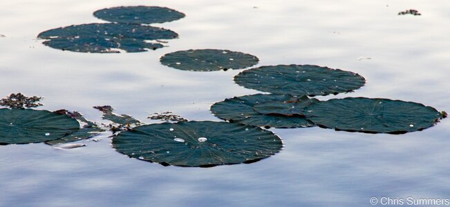 2024-067-059 Caddo Lake trip.jpg