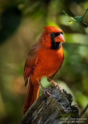 2025-056-032 Lake Livingston State Park trip-2.jpg