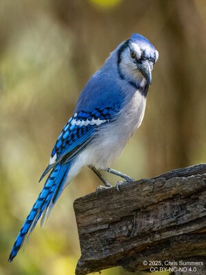 2025-056-074 Lake Livingston State Park trip-2.jpg