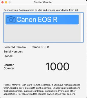 Canon R Shutter Count.jpg
