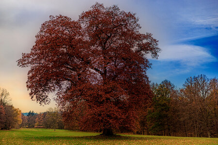 025b2 2025-11-08 Orlík.jpeg