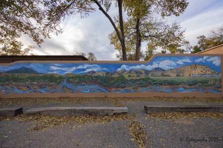 North 14 with 14mm-cytog-November 08, 2025-0002.jpg