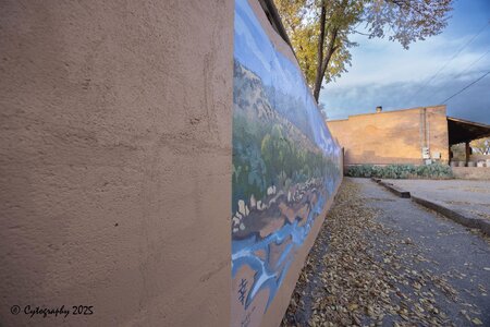 North 14 with 14mm-cytog-November 08, 2025-0014.jpg