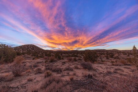 North 14 with 14mm-cytog-November 08, 2025-0024.jpg