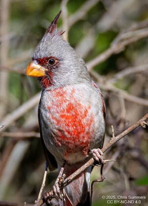 2025-061-063 Goliad trip.jpg