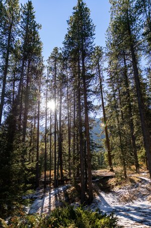 Canada 04-11-2025 0053.jpg