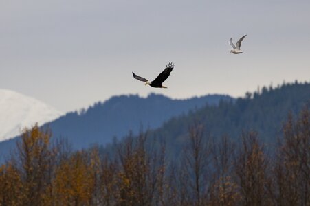 Canada 08-11-2025 0010.JPG