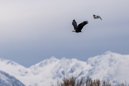 Canada 08-11-2025 0011.JPG