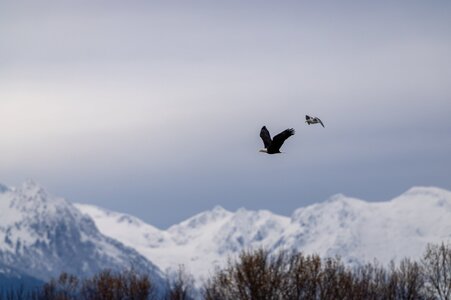 Canada 08-11-2025 0012.JPG