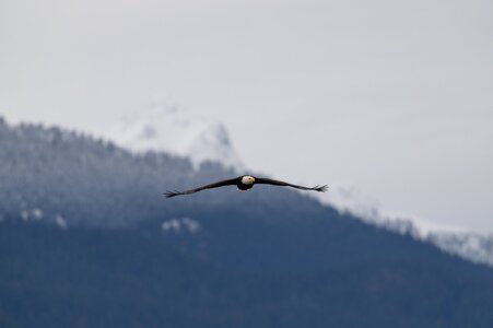 Canada 08-11-2025 0014.JPG