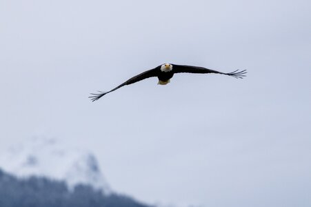 Canada 08-11-2025 0015.JPG